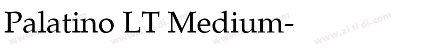 Palatino LT Medium字体转换